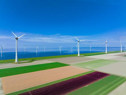 Tulpen in het voorjaar in  landbouwvelden van boven gezien