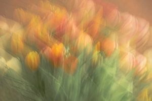Blumen Teil 438
