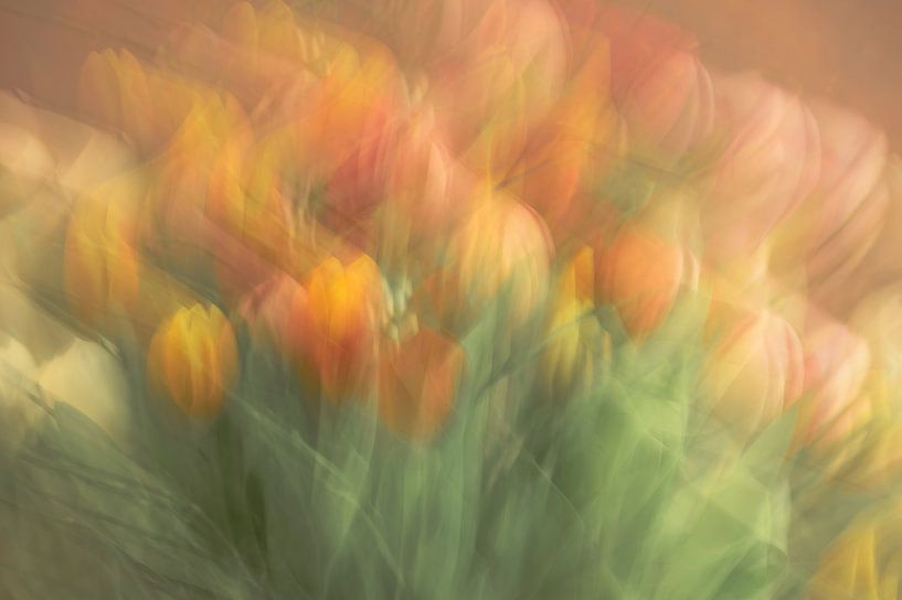 bloemen part 438 van Tania Perneel