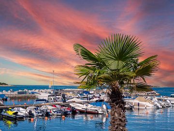 Coucher de soleil dans le port de Rovinj en Croatie sur Animaflora PicsStock
