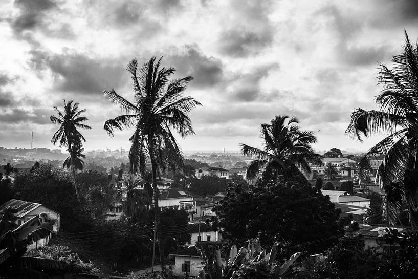 The Tropical Village by Walljar