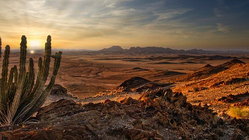 Sunset in the Namib Desert