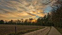 Landweg bij zonsondergang 