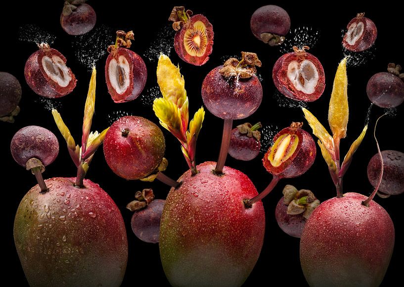Mango mangostan von Olaf Bruhn