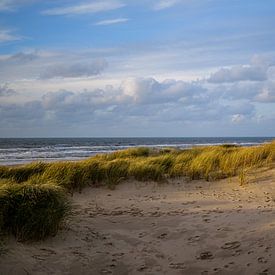 Nederlands duinlandschap met zeezicht van Frank van Hulst