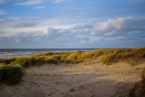 Niederländische Dünenlandschaft mit Meerblick