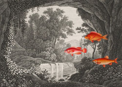 Tales of Fish in Forests by Marja van den Hurk