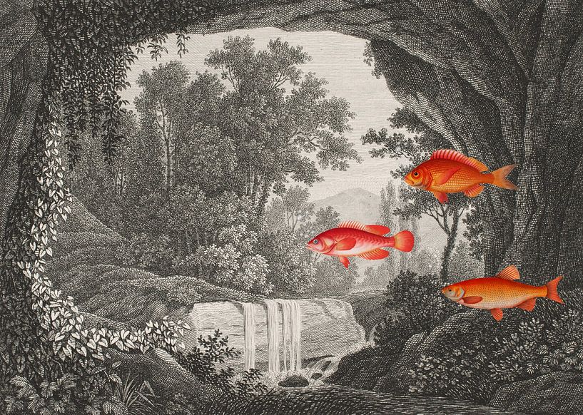 Tales of Fish in Forests von Marja van den Hurk