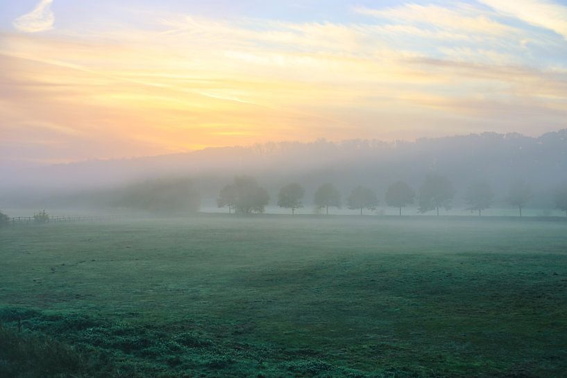 Dreamlike morning atmosphere by Bernhard Kaiser