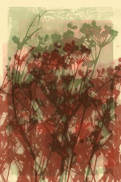 Lebendige abstrakte minimalistische botanische Kunst in Braun, Salbei und Weiß von Dina Dankers