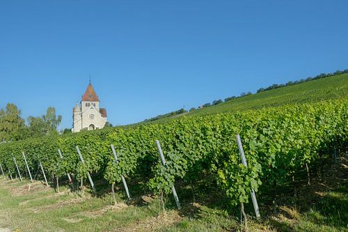 de kruiskapel op de Wissberg, wijnstreek Rheinhessen, Duitsland