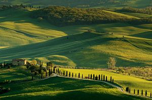 Val d'Orcia bei Pienza von Ilya Korzelius