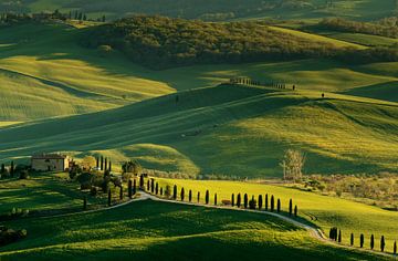 Val d'Orcia bei Pienza