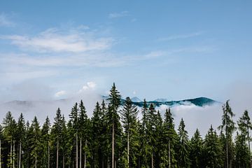 Als de bergen uit het bos opstijgen von Wilko Visscher