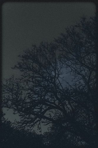 Midnight Silhouettes van Jasmijn van dort