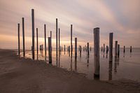 Palendorp Petten