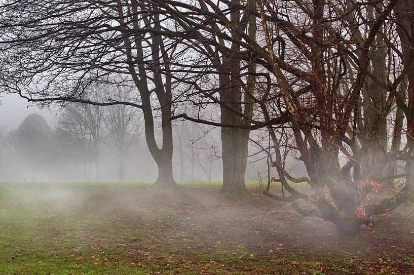 Brouillard matinal 8 par Edgar Schermaul