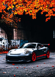Porsche 911 GT3Rs