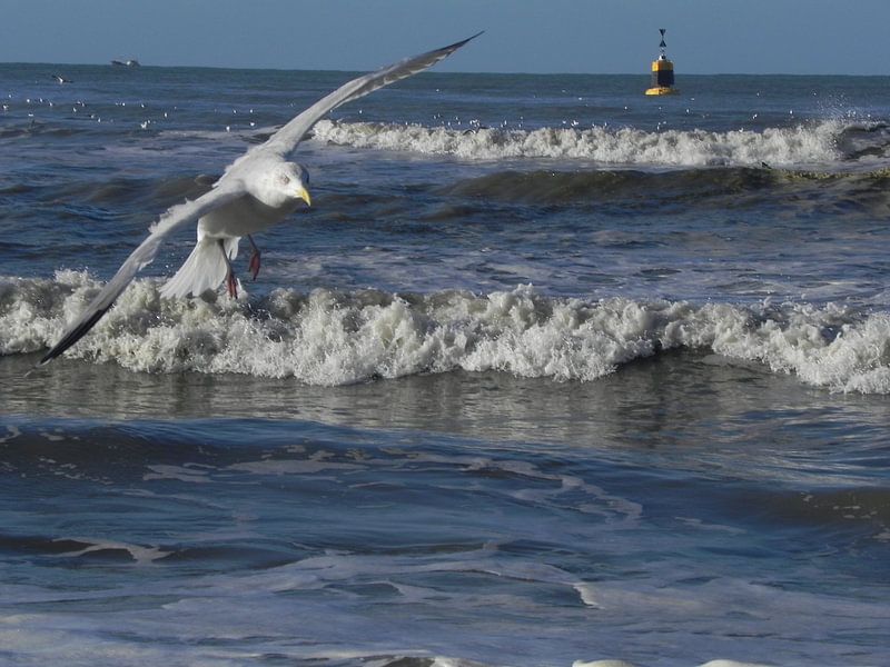 flying seagull par Ingrid Van Maurik