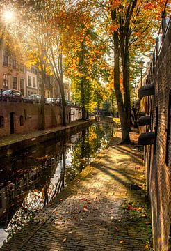 Neuer Kanal, Utrecht von Robin Pics (verliefd op Utrecht)