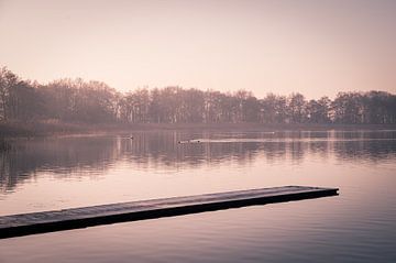 A romantic Frisian lake in winter by Grietje van der Reijnst