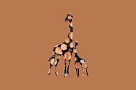 girabois2 by Catherine Fortin thumbnail