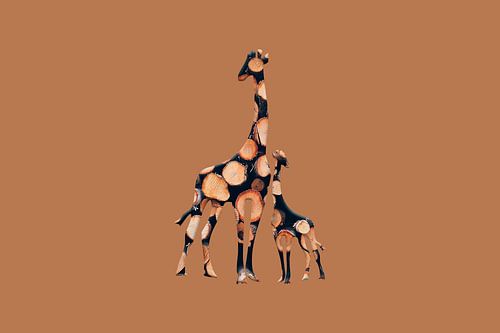 girabois2