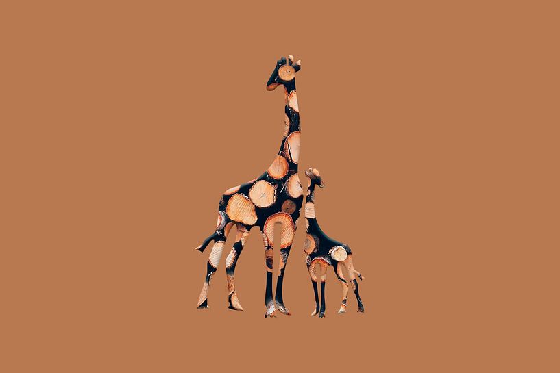 girabois2 by Catherine Fortin