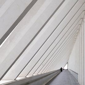 Gare des Guillemins / Bahnhof von Lüttich von Tim Vlielander