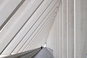 Gare des Guillemins / Bahnhof von Lüttich von Tim Vlielander