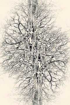 Les poumons de la nature sur Yanuschka | Fotografie Noordwijk