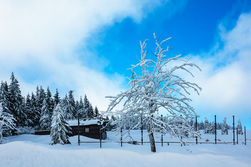 Winter im Riesengebirge bei Spindlermühle, Tschechien von Rico Ködder