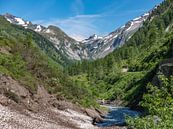 Dal in de Alpen van Holger Spieker thumbnail