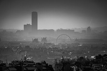 De daken met schoorstenen van Parijs
