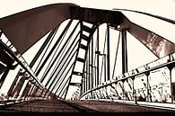 Le pont oblique de Leyde par Ernst van Voorst Aperçu
