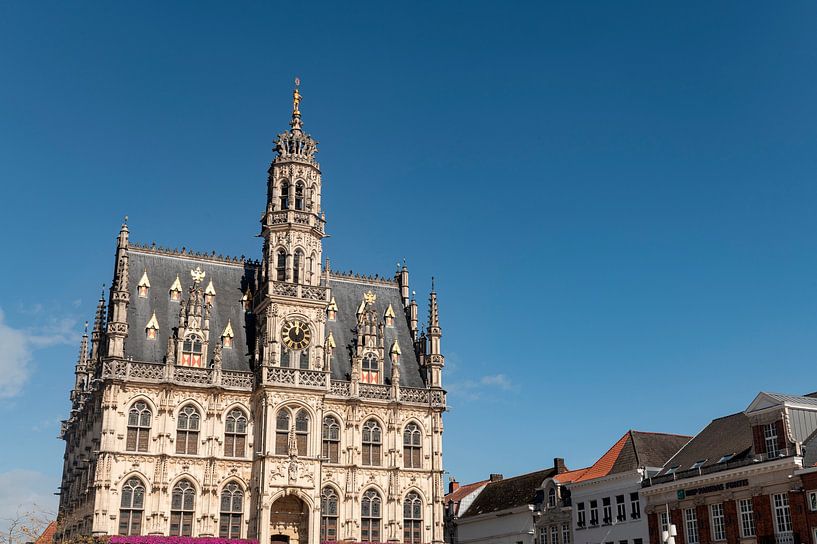 Oudenaarde Stadhuis van Richard Wareham