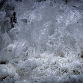 Eishaare von Marcel Pietersen