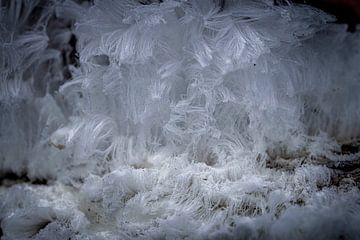 Cheveux de glace