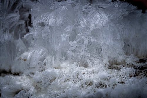 Icehair by Marcel Pietersen