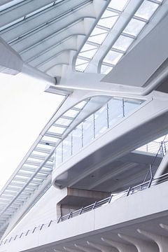 Architectuur Liège-Guillemins, station Luik, ontworpen door Calatrava. van Shaquille Maarschalkerweerd