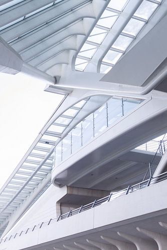 Architectuur Liège-Guillemins, station Luik, ontworpen door Calatrava.