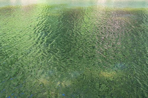 Spiegeling van bomen in het meer 2