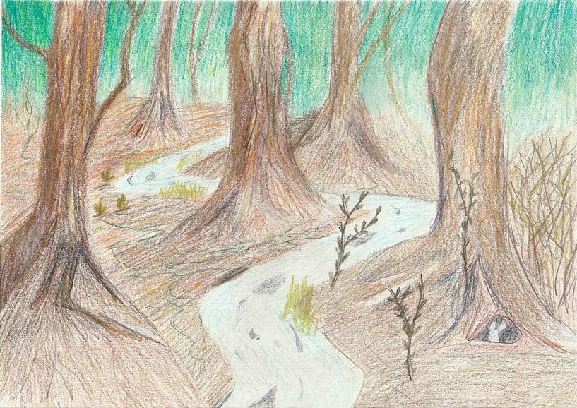 Zeichnung: Wald von Jerzy Beerepoot