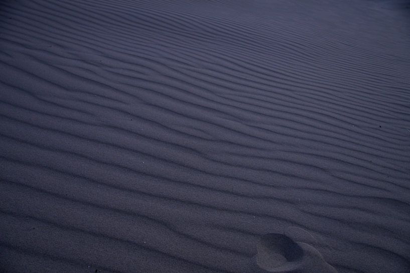 Détail de plage de la côte néerlandaise par Peter van Weel