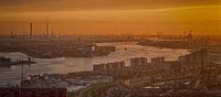Le port de Rotterdam au coucher du soleil (Panorama) par Aiji Kley Aperçu