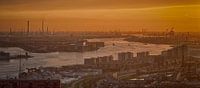 The Harbour of Rotterdam at Sunset