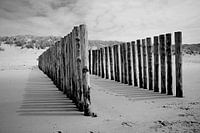 Bollards in Black/White