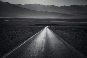 Artist's Drive