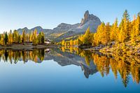 Autumn delight