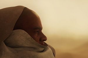 L'homme pensif contemple le vaste paysage désertique